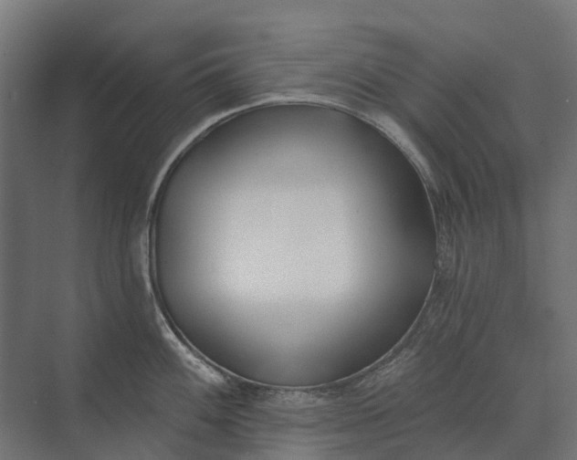 X0000073871100200608241128