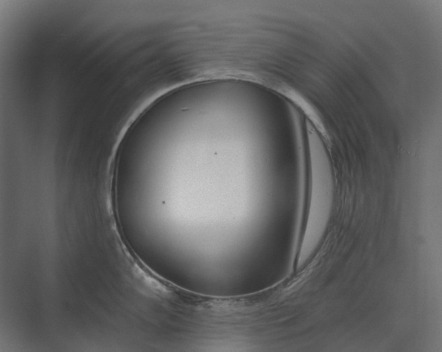 X0000073871102200608241128