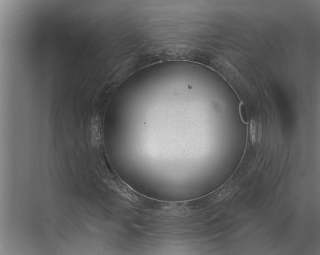 X0000073871107200608241127