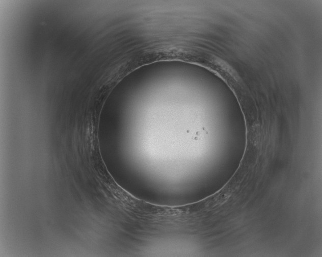 X0000073871111200608241127