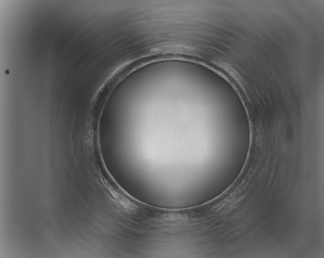 X0000073871115200608241127