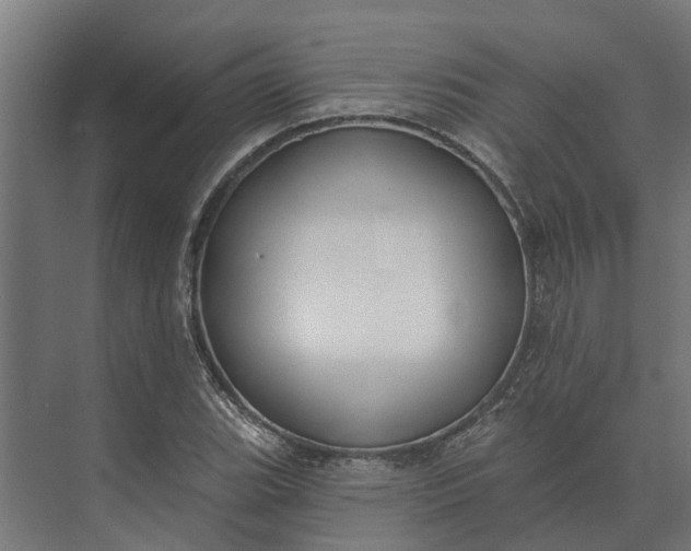 X0000073871119200608241127