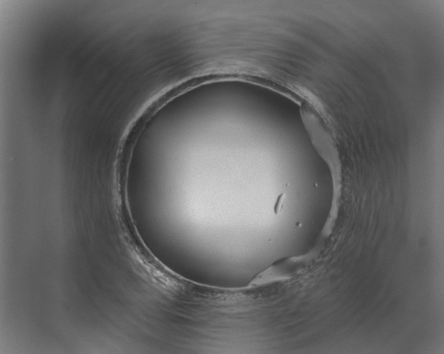 X0000073871120200608241127