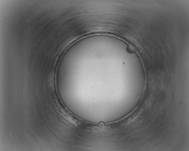 X0000073871121200608241127