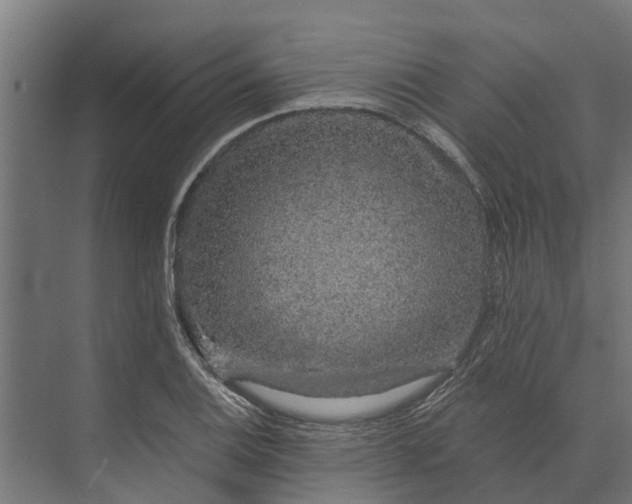 X0000073871124200608241127