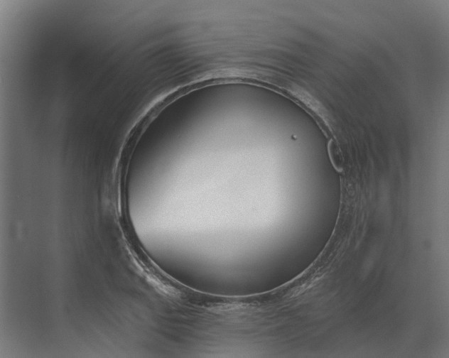 X0000073871127200608241127