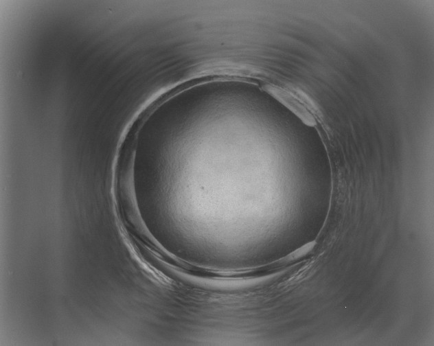 X0000073871128200608241127