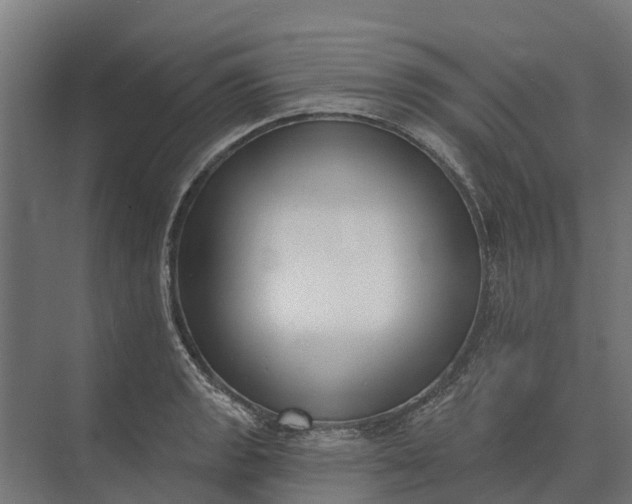 X0000073871133200608241128