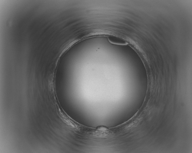 X0000073871137200608241128