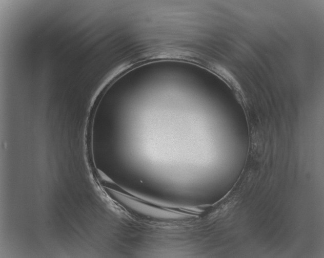 X0000073871138200608241128