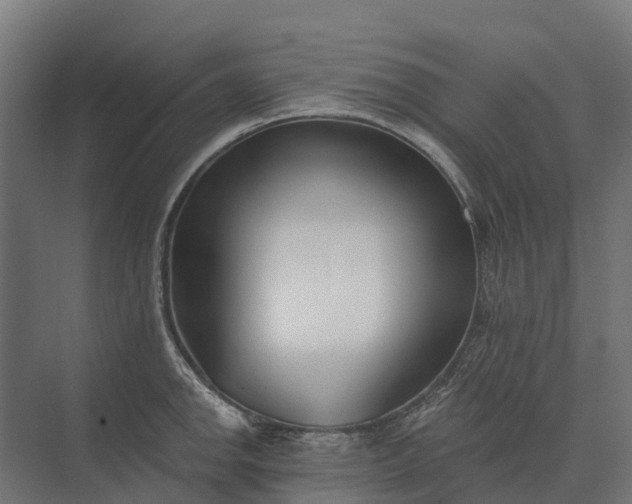 X0000073871142200608241128