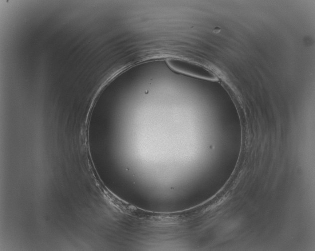 X0000073871145200608241128