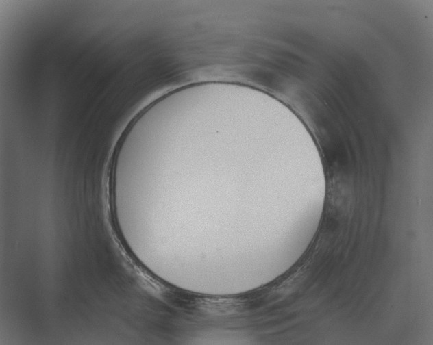 X0000073871150200608241128