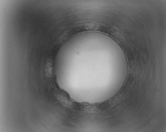 X0000073871154200608241127