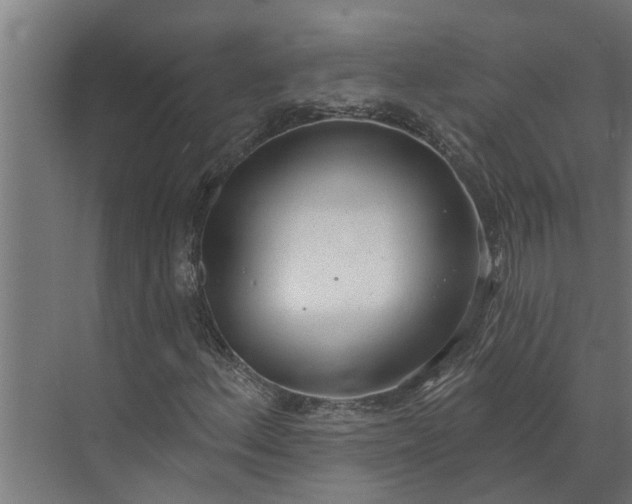 X0000073871156200608241127