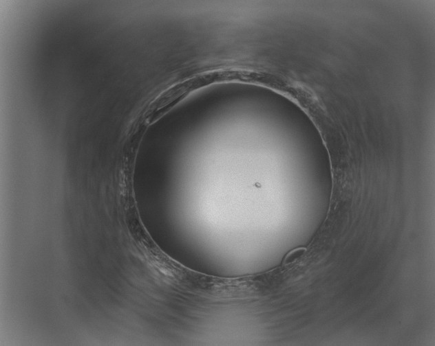 X0000073871159200608241127