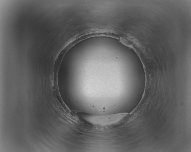 X0000073871165200608241127