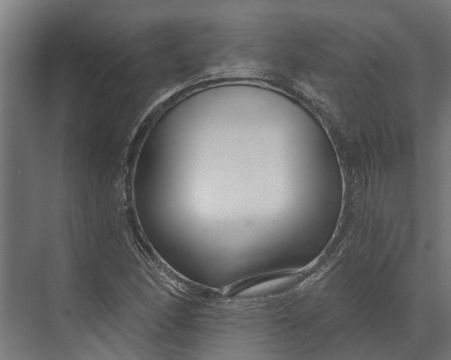 X0000073871166200608241127