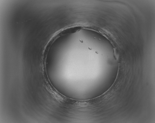 X0000073871168200608241127