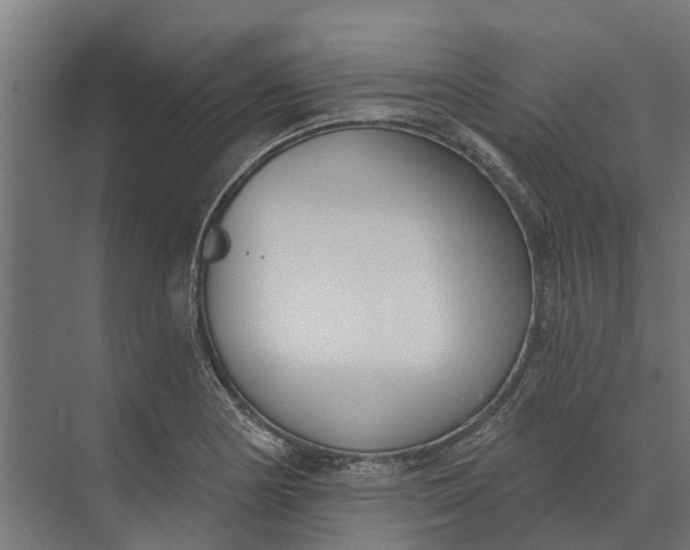 X0000073871178200608241127