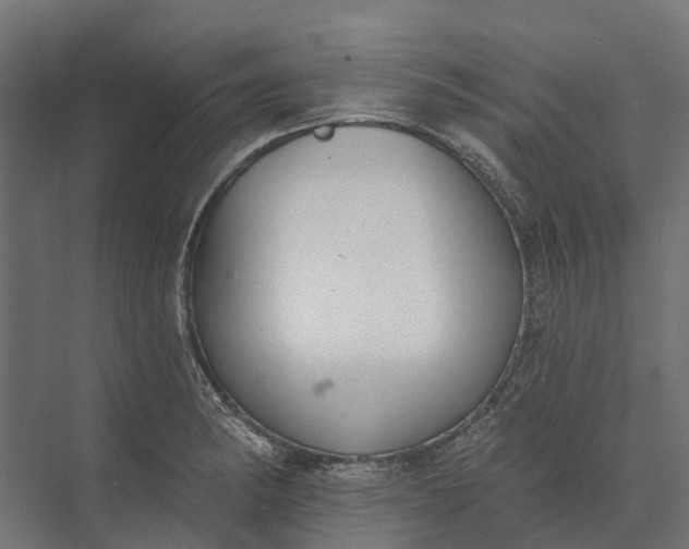 X0000073871182200608241127