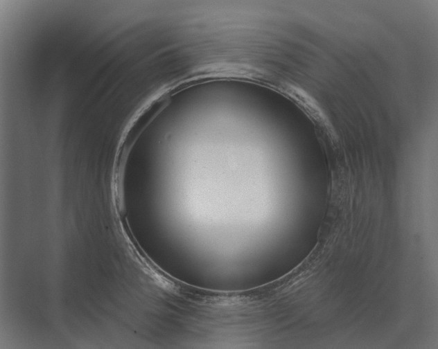 X0000073871188200608241126