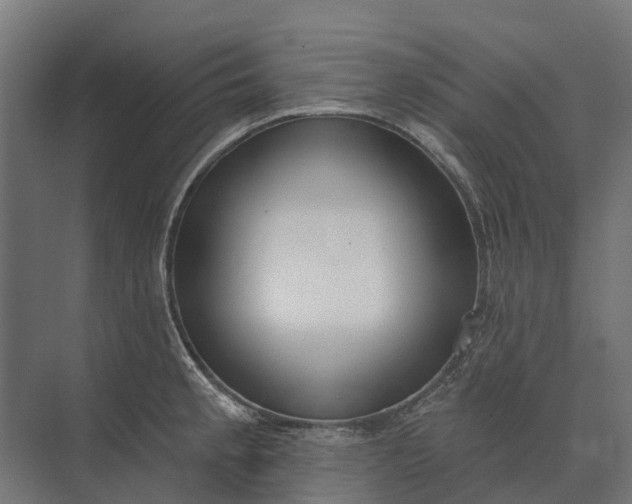 X0000073871189200608241126