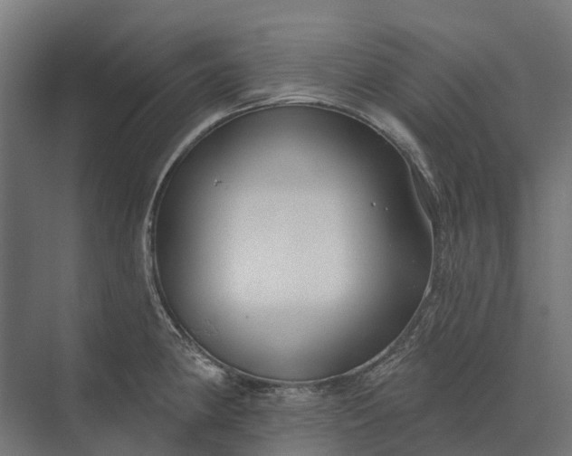 X0000073871190200608241126