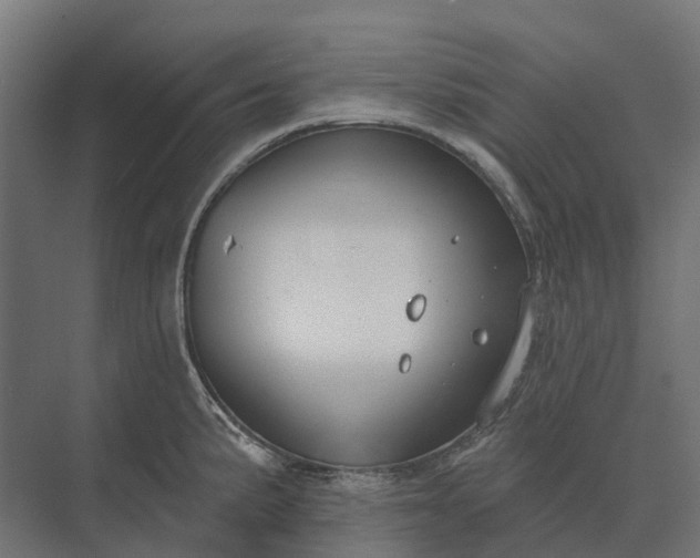 X0000073871191200608241126