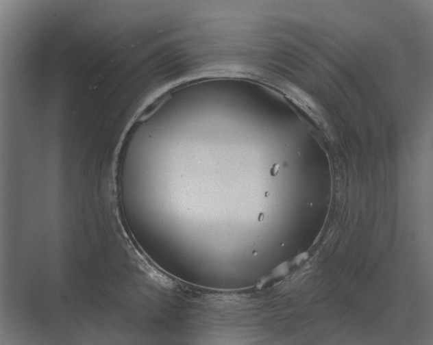 X0000073871192200608241126