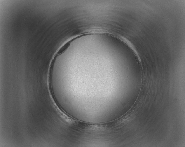 X0000073871195200608241126