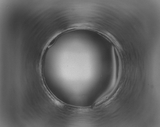 X0000073871196200608241126