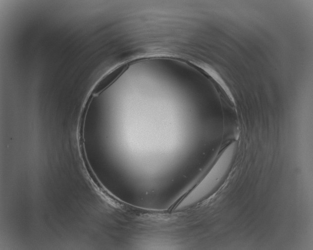 X0000073871197200608241126