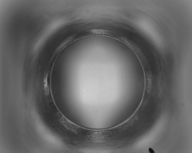 X0000073871198200608241126