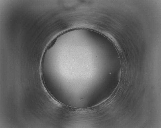 X0000073871199200608241126