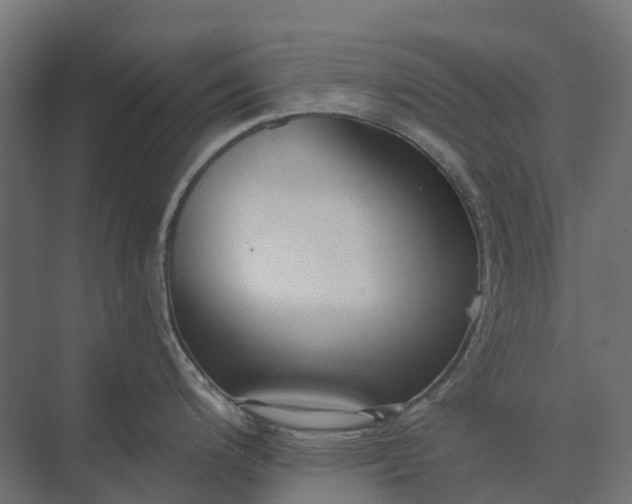 X0000073871200200608241126