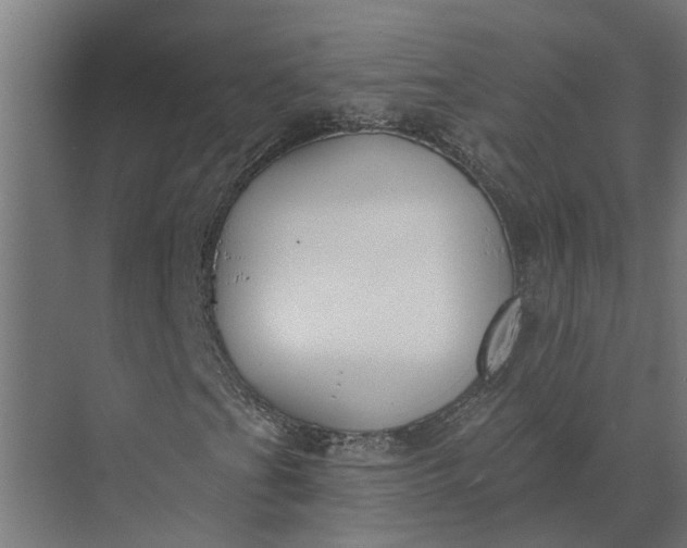 X0000073871201200608241125