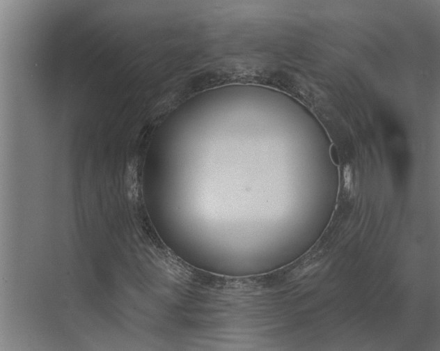 X0000073871203200608241125