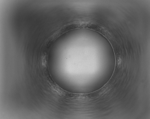 X0000073871204200608241126