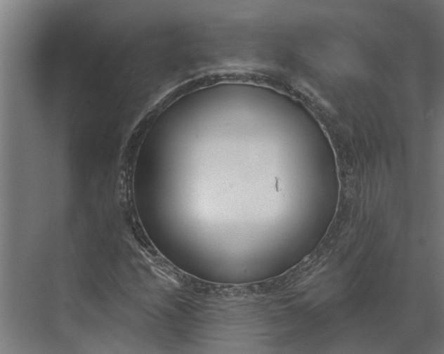 X0000073871208200608241126