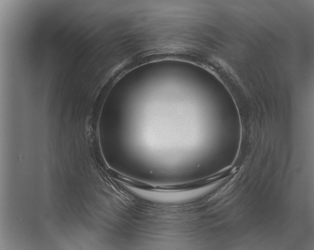 X0000073871210200608241126