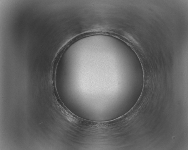 X0000073871216200608241126