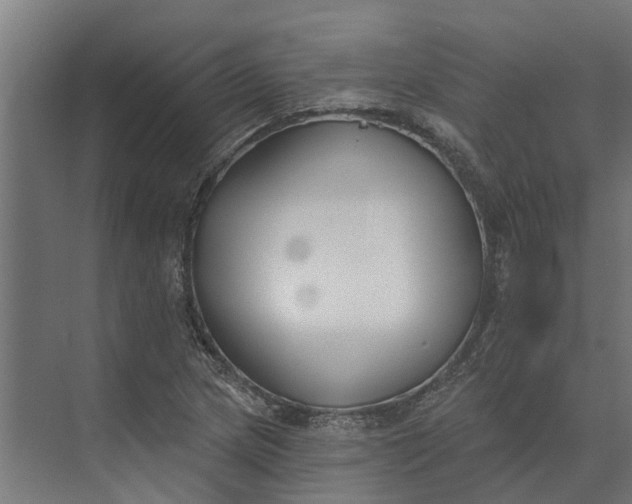 X0000073871217200608241126