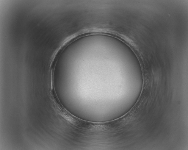 X0000073871223200608241126