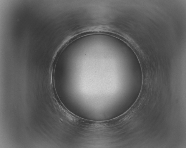 X0000073871224200608241126