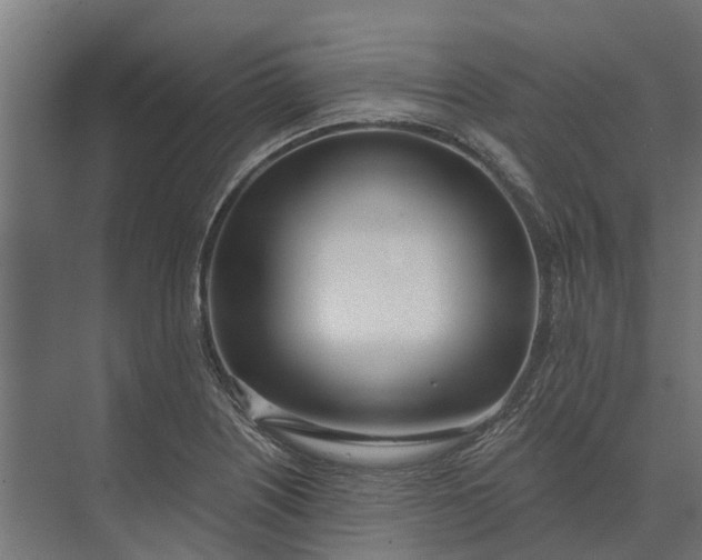 X0000073871226200608241126