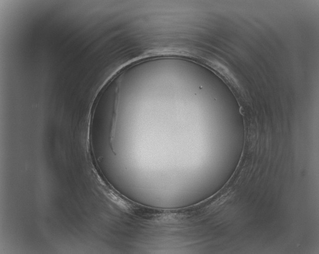 X0000073871228200608241126