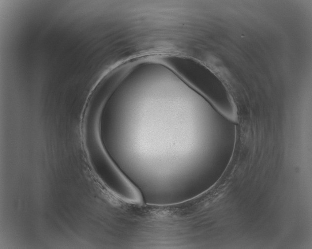 X0000073871230200608241126