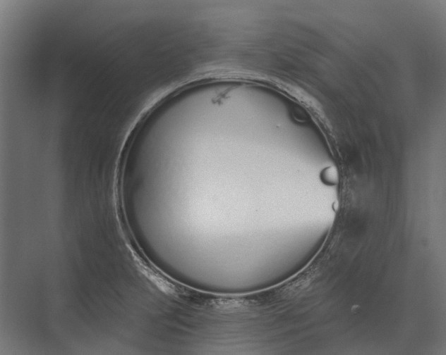 X0000073871231200608241126