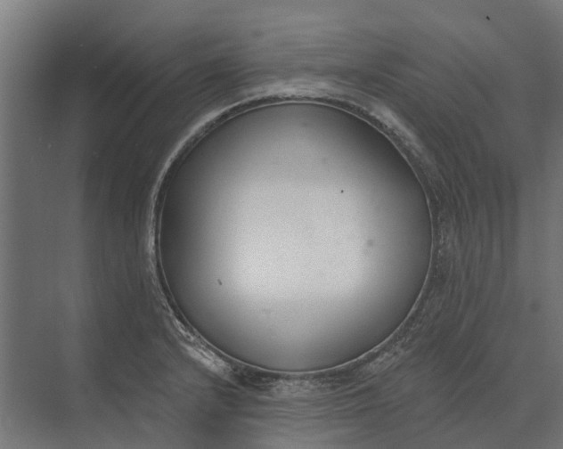 X0000073871232200608241126